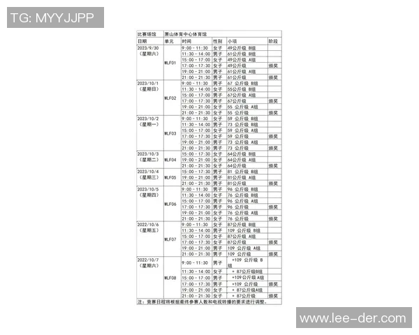 竞技体操评分系统解析与评分标准的应用探讨 竞技体操评分系统解析与评分标准的应用探讨